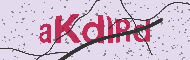 Güvenlik Kodu