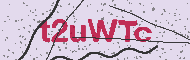 Güvenlik Kodu