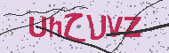 Güvenlik Kodu