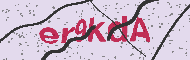 Güvenlik Kodu