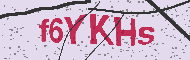 Güvenlik Kodu