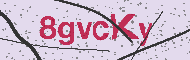Güvenlik Kodu