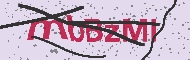 Güvenlik Kodu