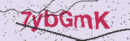 Güvenlik Kodu